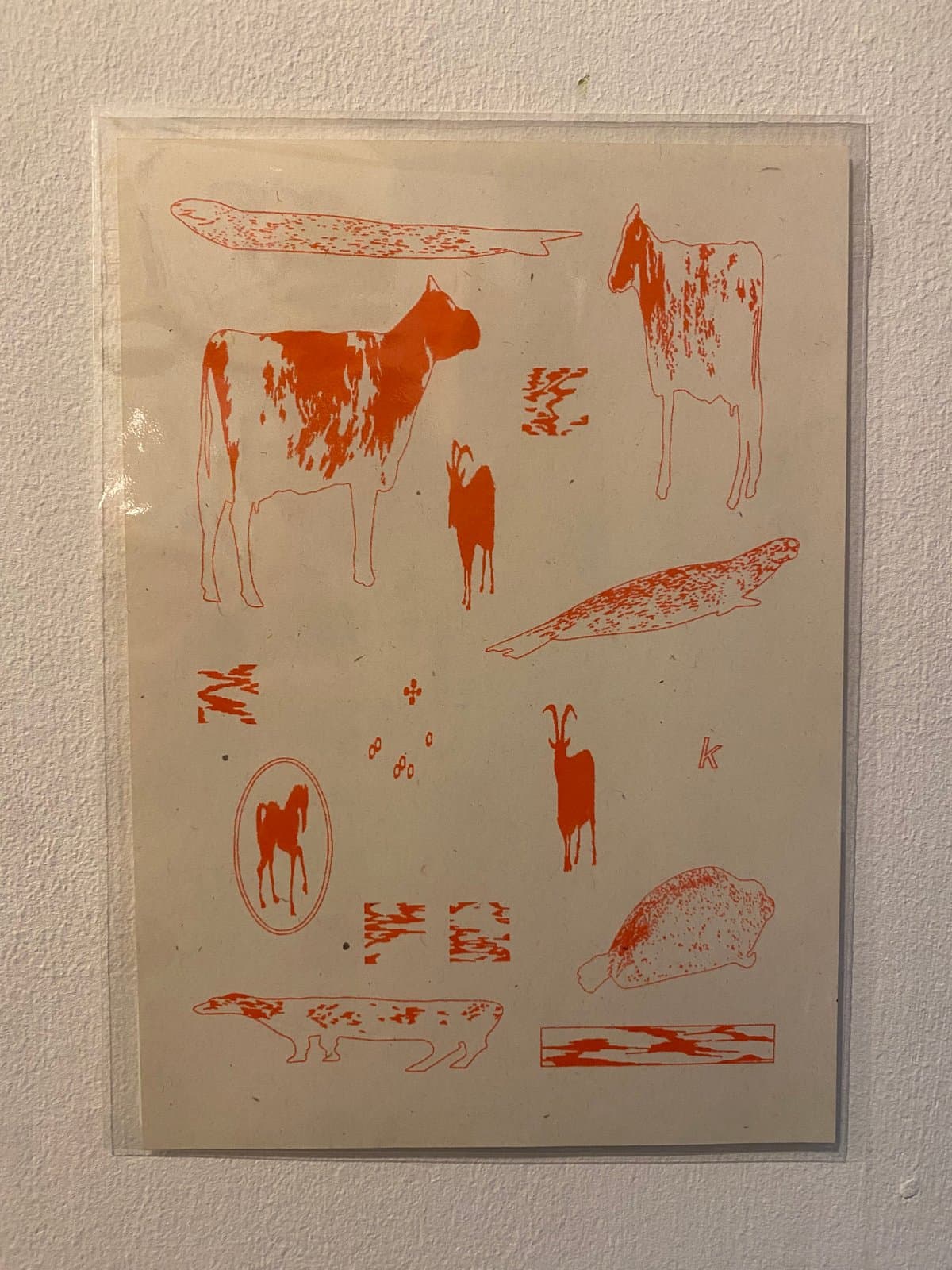 Animals by Seeing Paths
