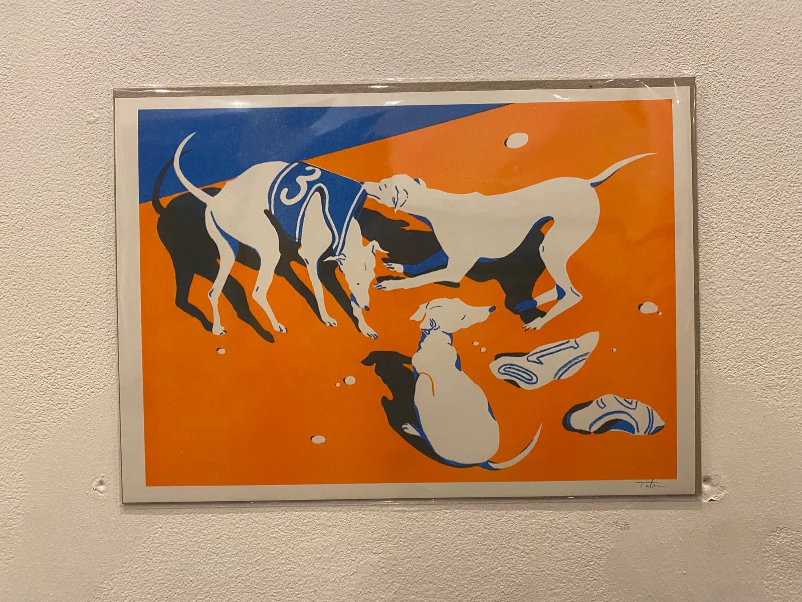 Greyhound Racing Clothes by TinTin Art