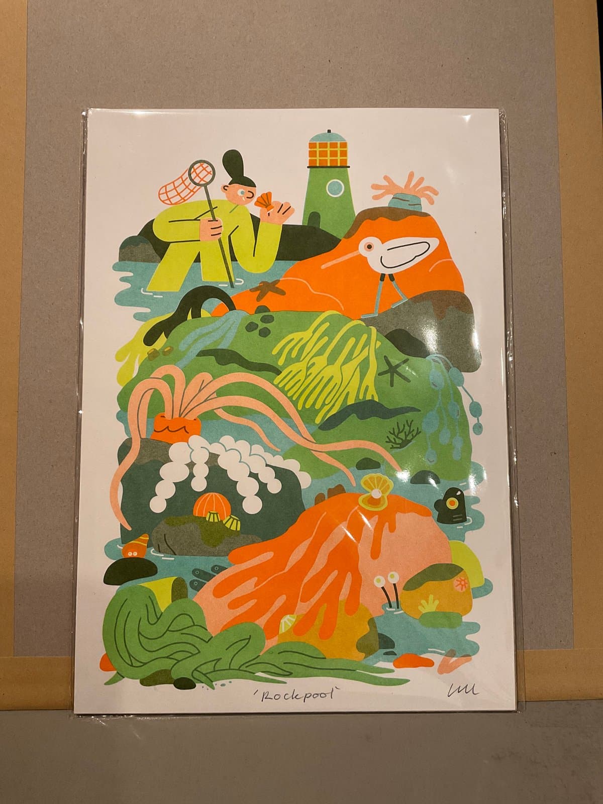 Rockpool by Lauren Morsley